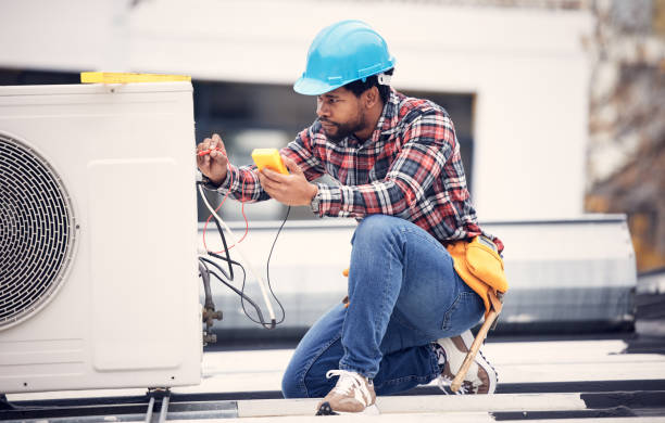 Best Electric Panel Repair  in Sandoval, IL