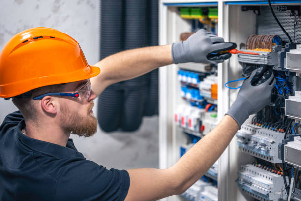 Best Electric Panel Repair  in Sandoval, IL